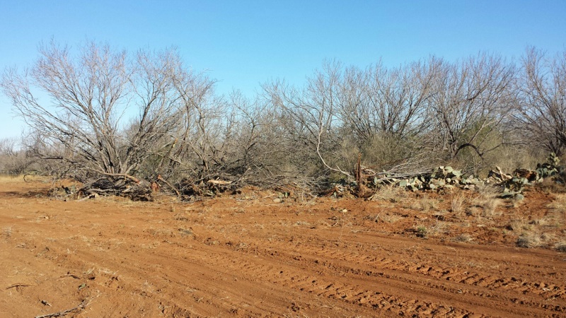 land clearing services-san antonio texas area-3