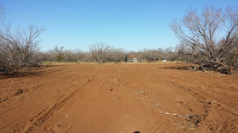 land clearing services-san antonio texas area-4