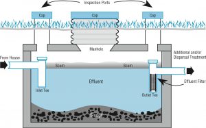 Septic System